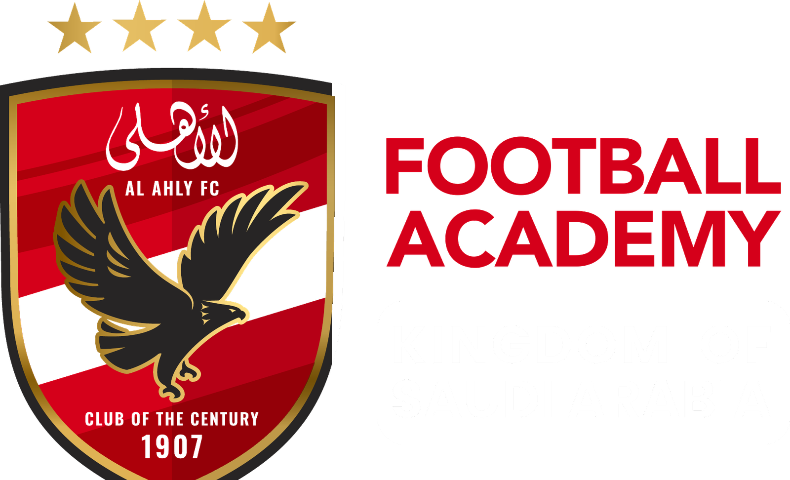 Al Ahly Football Academy